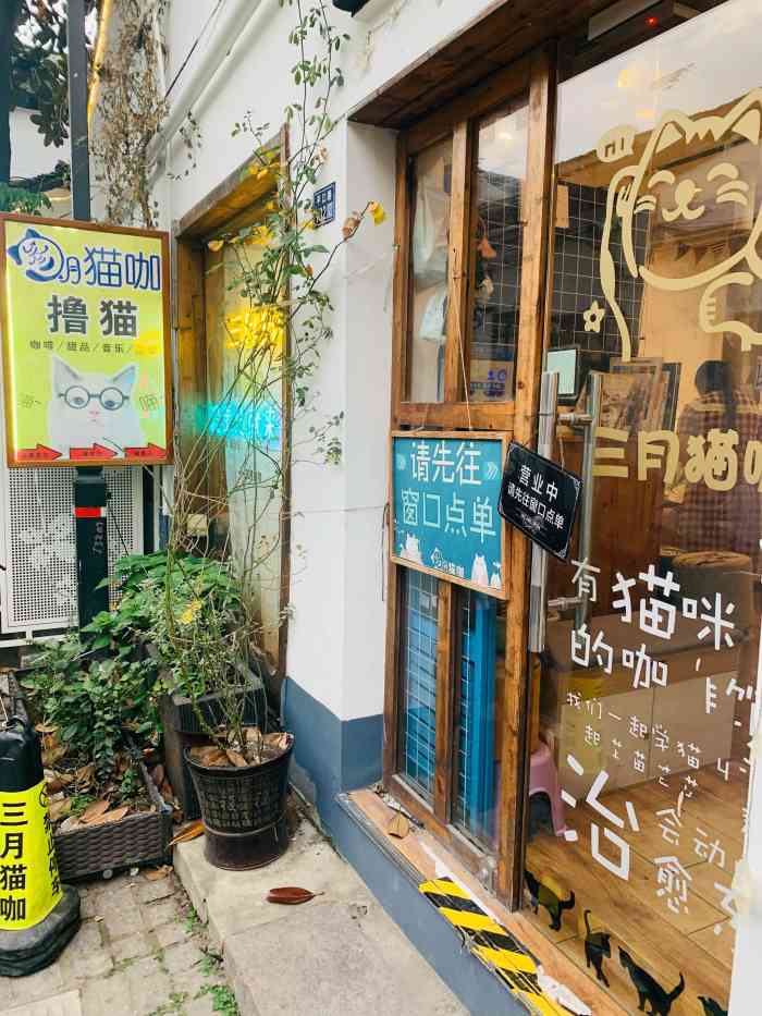 三月猫咖(平江店)-"猫咪的名字都挺个性的,全部很可爱「包子.