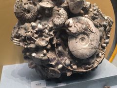 -湖南省地质博物馆