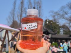 -莫愁湖公园