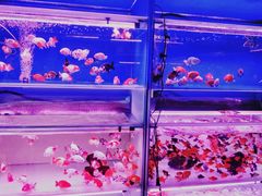 -华声天桥民俗文化园