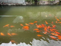 -浙江省博物馆(孤山馆区)