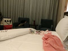 -都江堰中心国际酒店