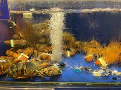 -高佳庄·舟山海鲜(海景旗舰店)