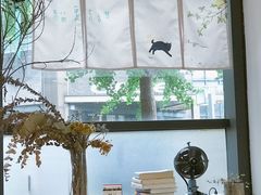 -猫里有甜