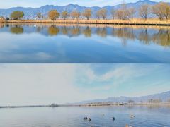 -野鸭湖国家湿地公园