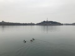 -仿膳饭庄