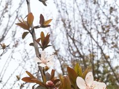 -花溪公园