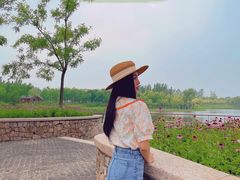 -东郊湿地公园