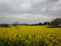 -高淳味道(丹阳湖北路店)