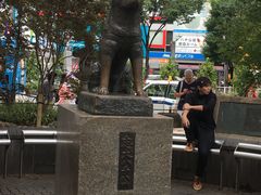 -涩谷区