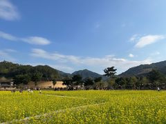 -福建土楼（华安）旅游区•大地土楼群