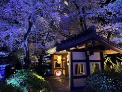 -新高轮格兰王子大酒店