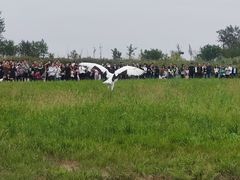 -盐城丹顶鹤湿地生态旅游区