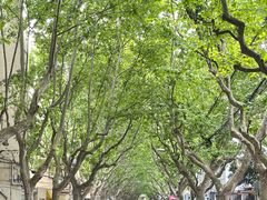 -翠亭酒家(山西南路店)