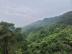 -缙云山景区