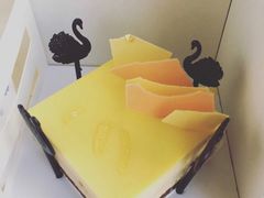 -BLACKSWAN黑天鹅(环球店)