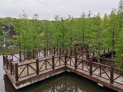 -苏州太湖国家湿地公园