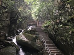 -藏龙百瀑风景区