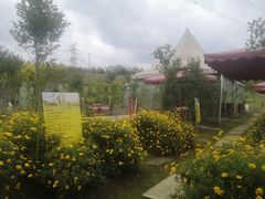 -紫颐香薰山谷景区