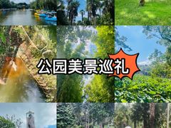 -翠湖公园