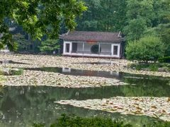 -杭州植物园