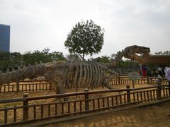 -海珠儿童公园