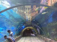 -华夏文旅海洋公园