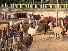 -西安秦岭野生动物园