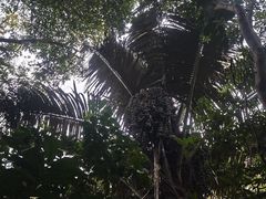 -七仙岭温泉国家森林公园