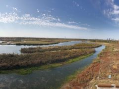 -春花秋色城市公园