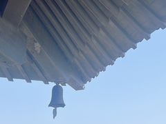 -宜兴龙背山森林公园