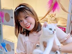 -lincat·猫舍(广州店)