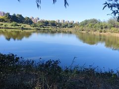 -塘沽森林公园