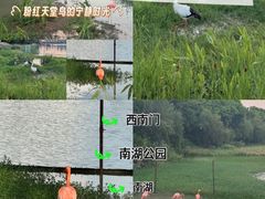 -南宁南湖公园