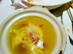 金汤花胶煨海参-五月罗马海鲜自助餐厅(陆家嘴店)