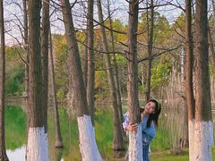 -瑶湖郊野森林公园