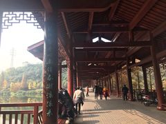 -重庆彩云湖湿地公园
