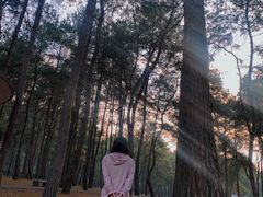 -Club Med地中海俱乐部·桂林度假村