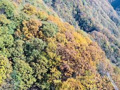 -陕西省红河谷森林公园