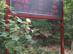 -大伊山景区
