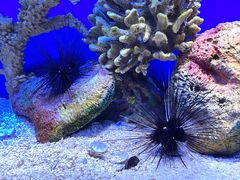 -上海海洋水族馆