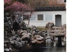 -八大山人梅湖景区