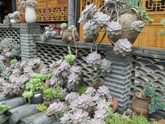 -古大圣慈寺