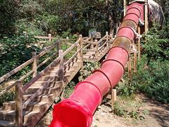 -北京西山国家森林公园