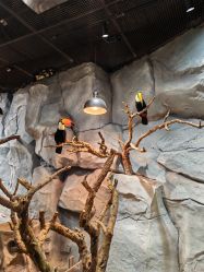 -Zoolung Zoolung动物主题公园(海信广场店)