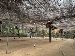-呀路古热带植物园-恐龙馆