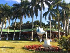 -侯臣咖啡文化村