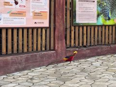 -大连森林动物园