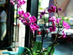 -小河盐帮·私家菜·烤鸭(三元桥·霄云路店)