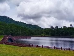 -海南热带雨林国家公园吊罗山景区